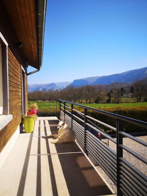 Balcons Du Royans.Logement Entier Piscine Saint-Jean-en-Royans Extérieur photo